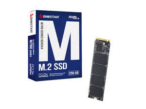 حافظه SSD بایواستار مدل Biostar M760 M.2 2280 NVMe 256GB